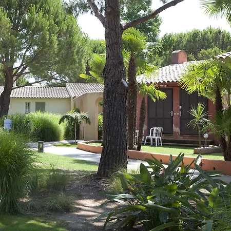 Pierre & Cannes מלון